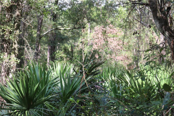 OFF MENTORIA ROAD, YULEE, FL 32097, photo 2 of 4